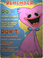 The DO'S & DONT'S of Playtime Co.