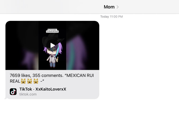 When my mom wants to see my Roblox avatar 