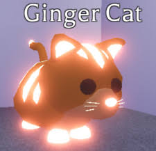 What Is A Nfr Ginger Cat Worth Adopt Me - roblox adopt me ginger cat worth
