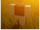 7ync