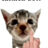 Janiethegoat233's avatar
