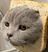 AuroraGoober's avatar