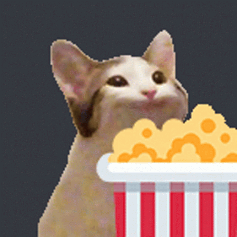 Кот с попкорном мем 10 популярных идей на тему "eating popcorn" для вдохновения