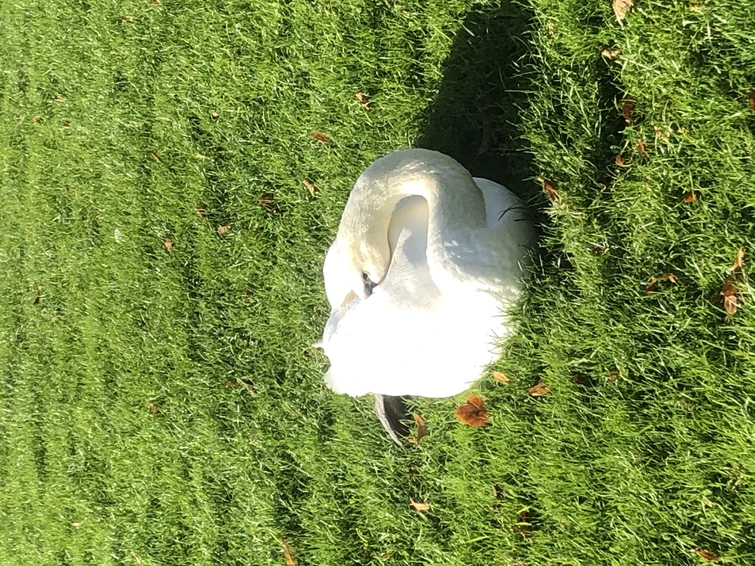 why everybody online rn 😭😭😭😭 Fandom