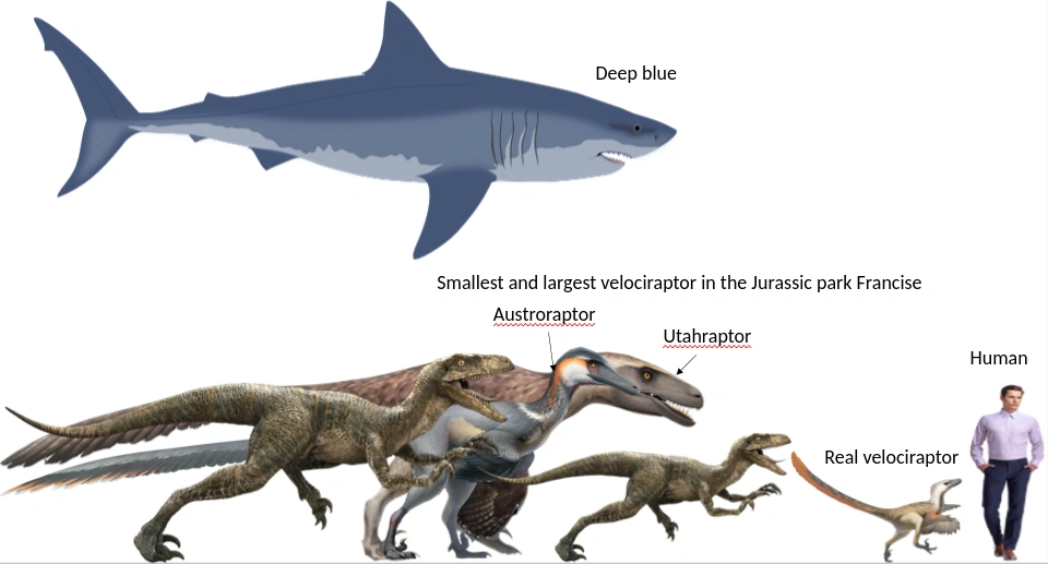 The Truth About Velociraptor Fandom