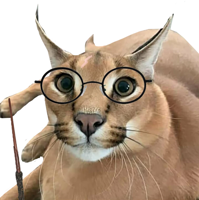 Big Floppa Cute Fandom