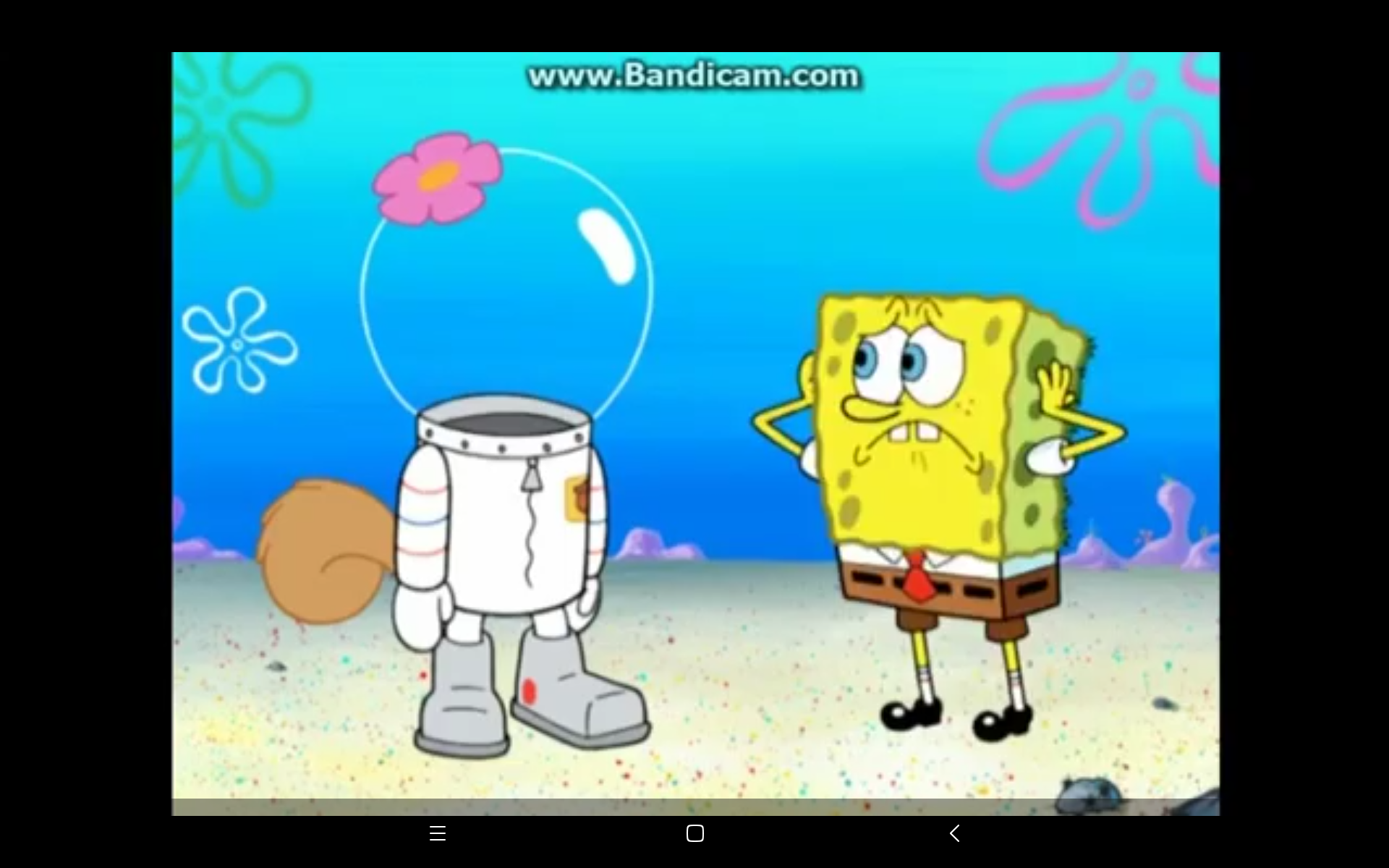 Spongebob with Abrasive side (Back) Look at Sandy Cheek(but She has