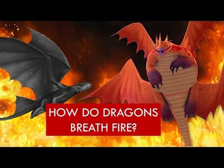 HTTYD YouTubers? Fandom