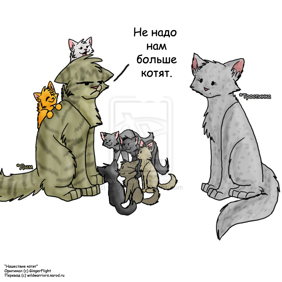 Коты воители смешные фото