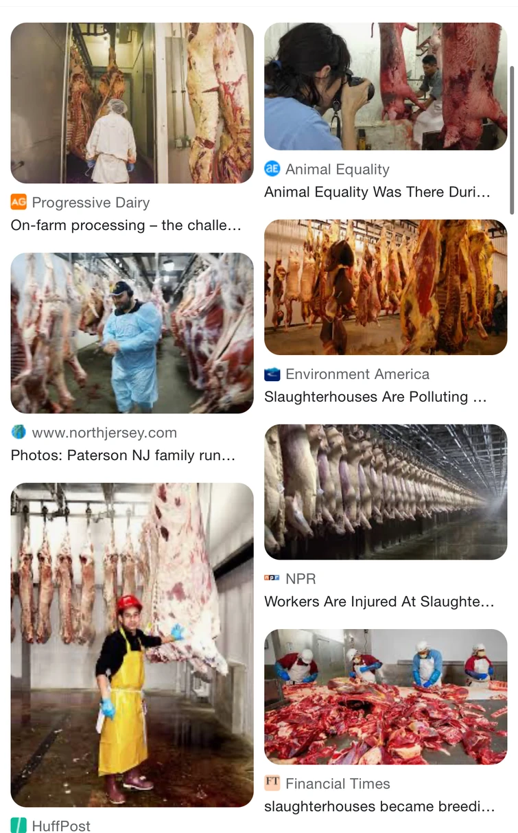 First person to search up "slaughterhouse" without GD will get fentanyl