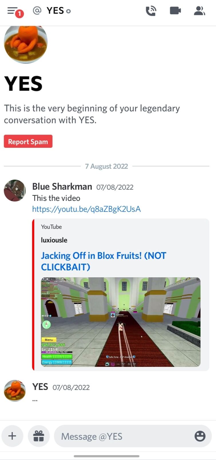 I love the Blox fruits discord sm tell me if these were W/F/L : r