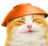 STthecat's avatar