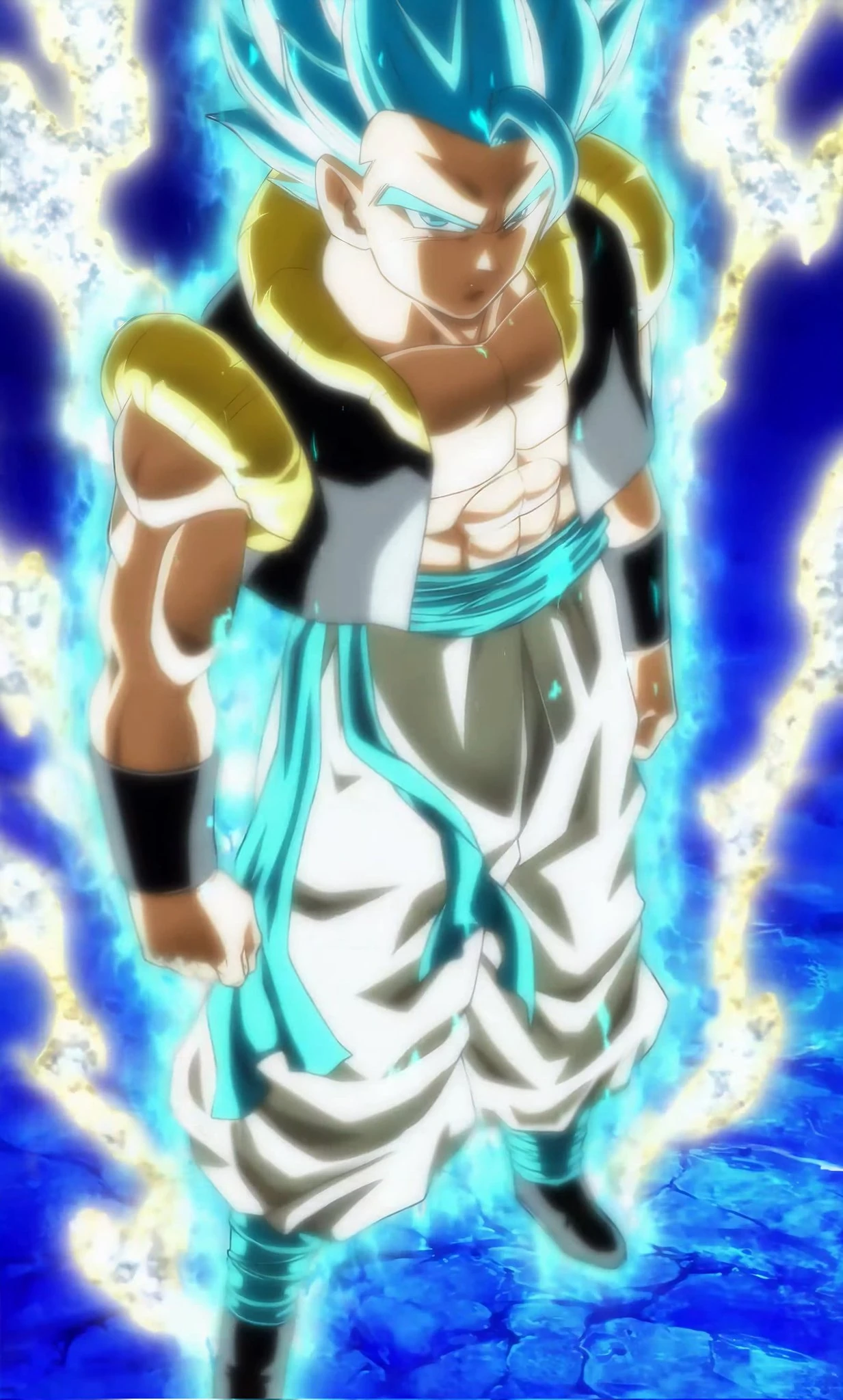 Gogeta Super Saiyan Blue Evolution vs. Dark King Demigra Fandom