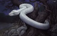 As the Serpent of Light