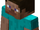 The Player (Hypixel Skyblock)