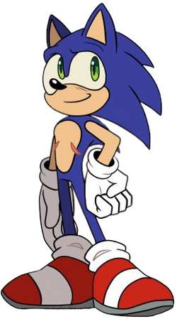 Why do so many people insist Sonic is trans? As a trans person