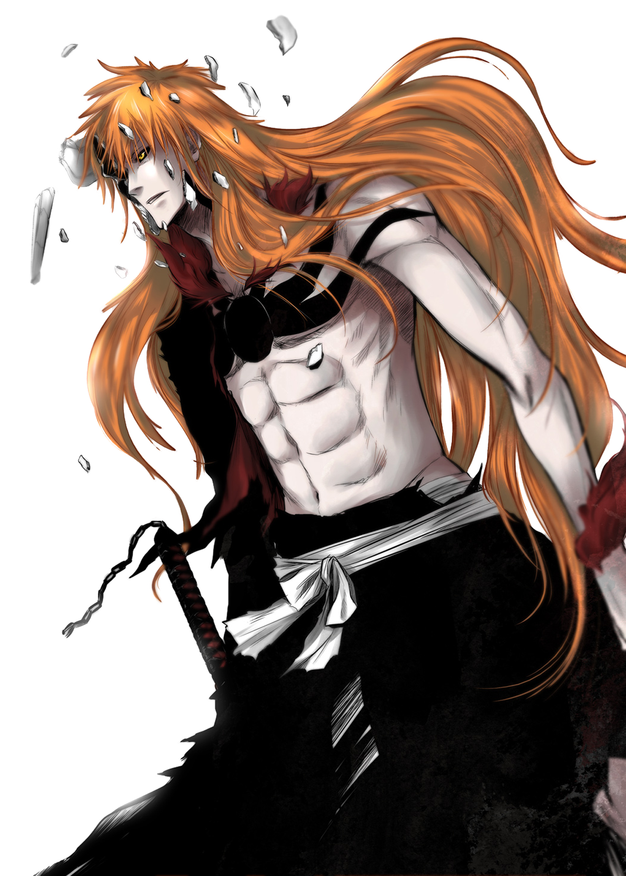 Ichigo Kurosaki (Vasto Lorde), Wiki