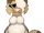 Gatto Levigato