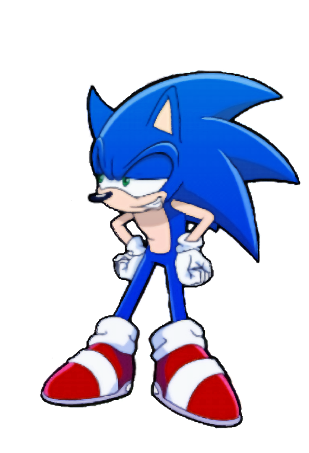 Seelkadoom the Hedgehog, SonicRPG Wiki