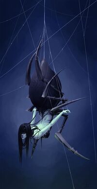 Arachne