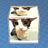 Aqidd212121's avatar
