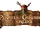 Pirates of the Caribbean Online