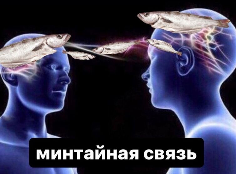 Мем ментальная связь картинка