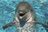 LJDVaughn8763's avatar