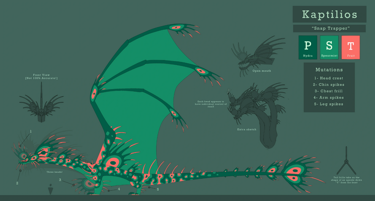 My favorite official discord dragon concepts : r/DragonAdventures