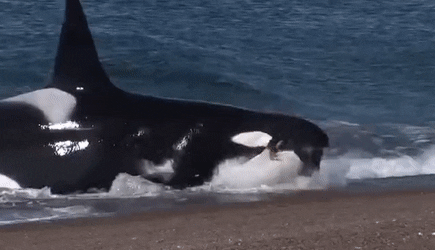 feaf40b0-67e4-44f5-ac95-f2867d15ceb9