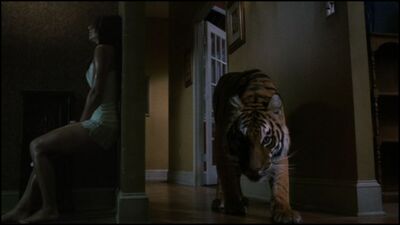 Lucifer(tiger)(Burning Bright 2010)