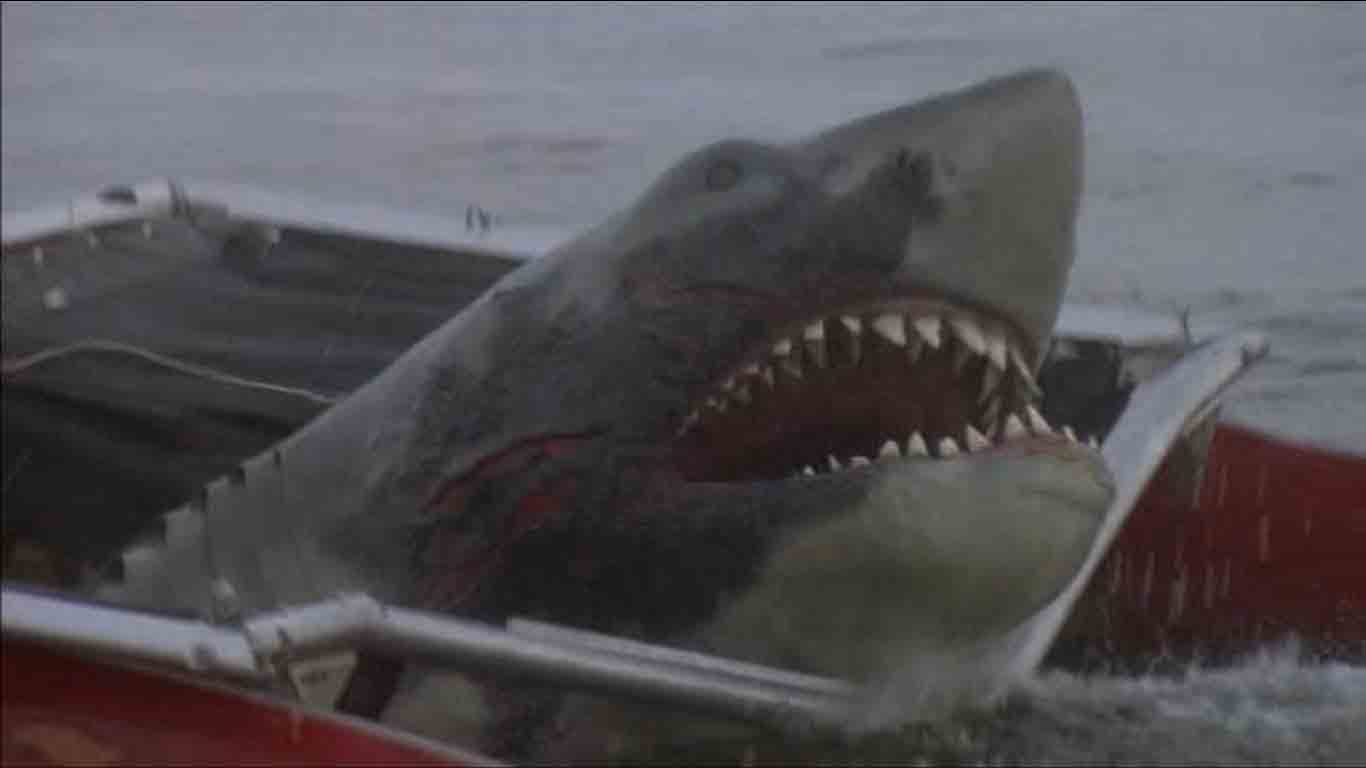 Great White Shark(Jaws 2) | Fear world Wiki | Fandom