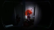 Dead nurse inside bathroom stall.