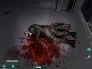 The slain commander.png (818 KB) The deceased Commander.