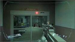 Becket wandering inside the Auburn Memorial Hospital.