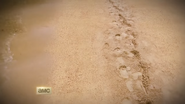 Footprints, from the 1st S2 teaser