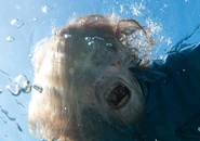 One of the dead from the attacked yacht, a Nick's eye view photo