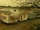 Trailer Park