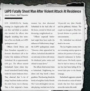 LAPD Shoot Man.png (550 KB)