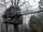 The Tree House