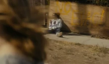 There are a lot of bodies, all shot in the head