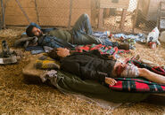 Travis stays with James.jpg (302 KB)