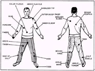Vital points for the effective use of an Impact Baton