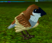 Sparrow Iz Roblox GIF - Sparrow IZ Roblox Epic Face - Discover