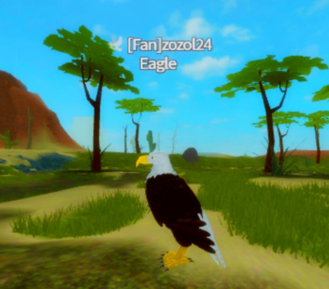 Eagle Feather Family Roblox Wiki Fandom - roblox feather family eagle