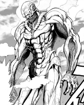 Beefcake