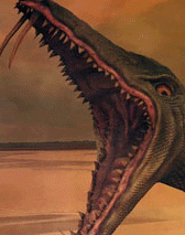 Titan Dolphin