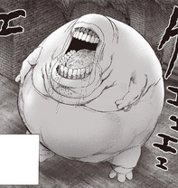 Gums