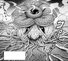Rafflesidon
