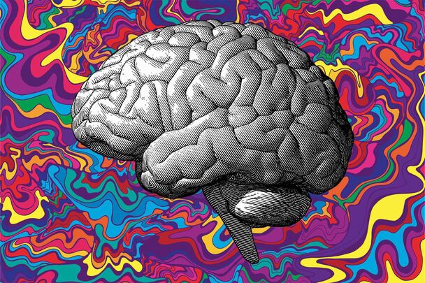 Inteligencia Cerebro